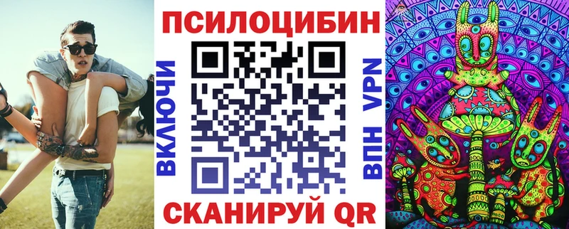Галлюциногенные грибы Psilocybine cubensis  закладки  Грозный 