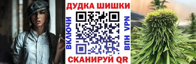 где купить наркотик  маркетплейс какой сайт  гидра сайт  Конопля семена  Грозный 